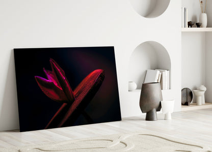 Crimson Flower Bud Dark Macro Glass Wall Art