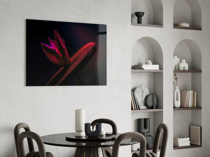 Crimson Flower Bud Dark Macro Glass Wall Art