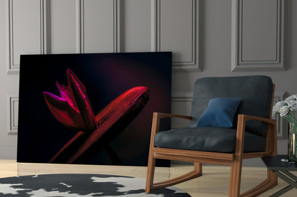 Crimson Flower Bud Dark Macro Glass Wall Art