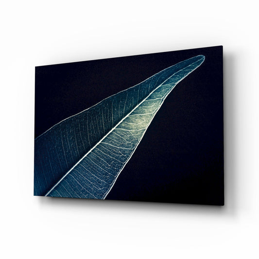 Two elongated silver-veined leaves converging in a V-shape against a dark navy background on glass wall art.