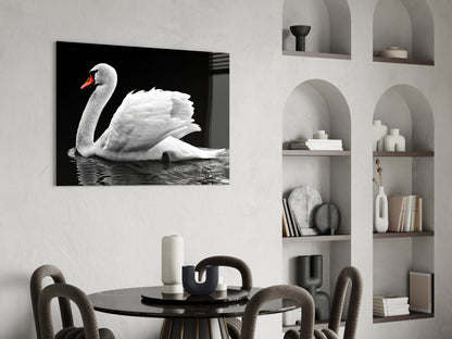 White Swan Black Water Reflection Glass Wall Art