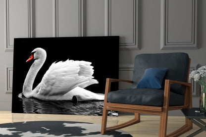 White Swan Black Water Reflection Glass Wall Art