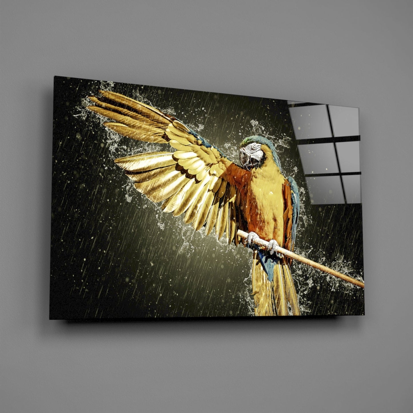 Golden Macaw Water Splash Glass Wall Art