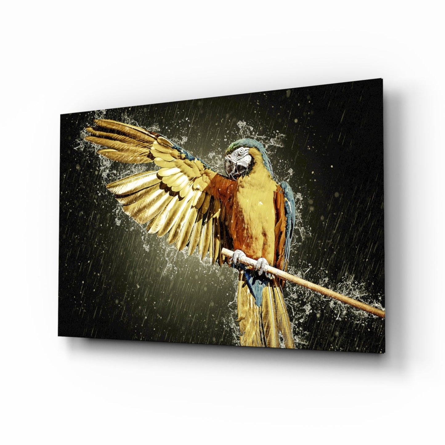 Golden Macaw Water Splash Glass Wall Art