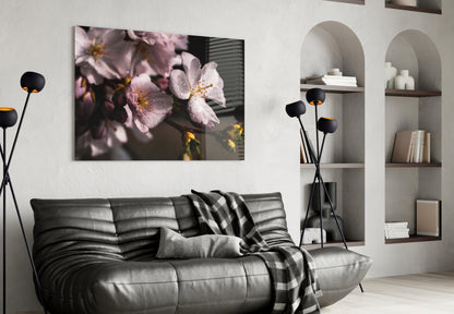 Dewdrop Pink Cherry Blossoms Glass Wall Art