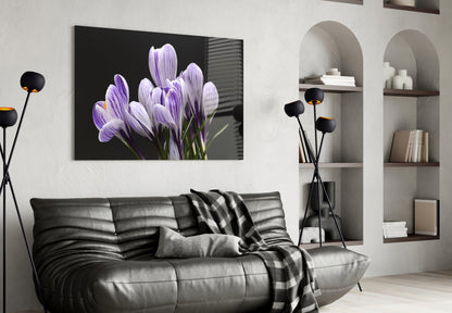 Purple crocus flowers on black glass canvas displayed above gray leather sofa in modern living room interior.