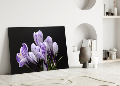 Purple crocus flowers on black background glass art leaning against white wall in minimalist room setting.