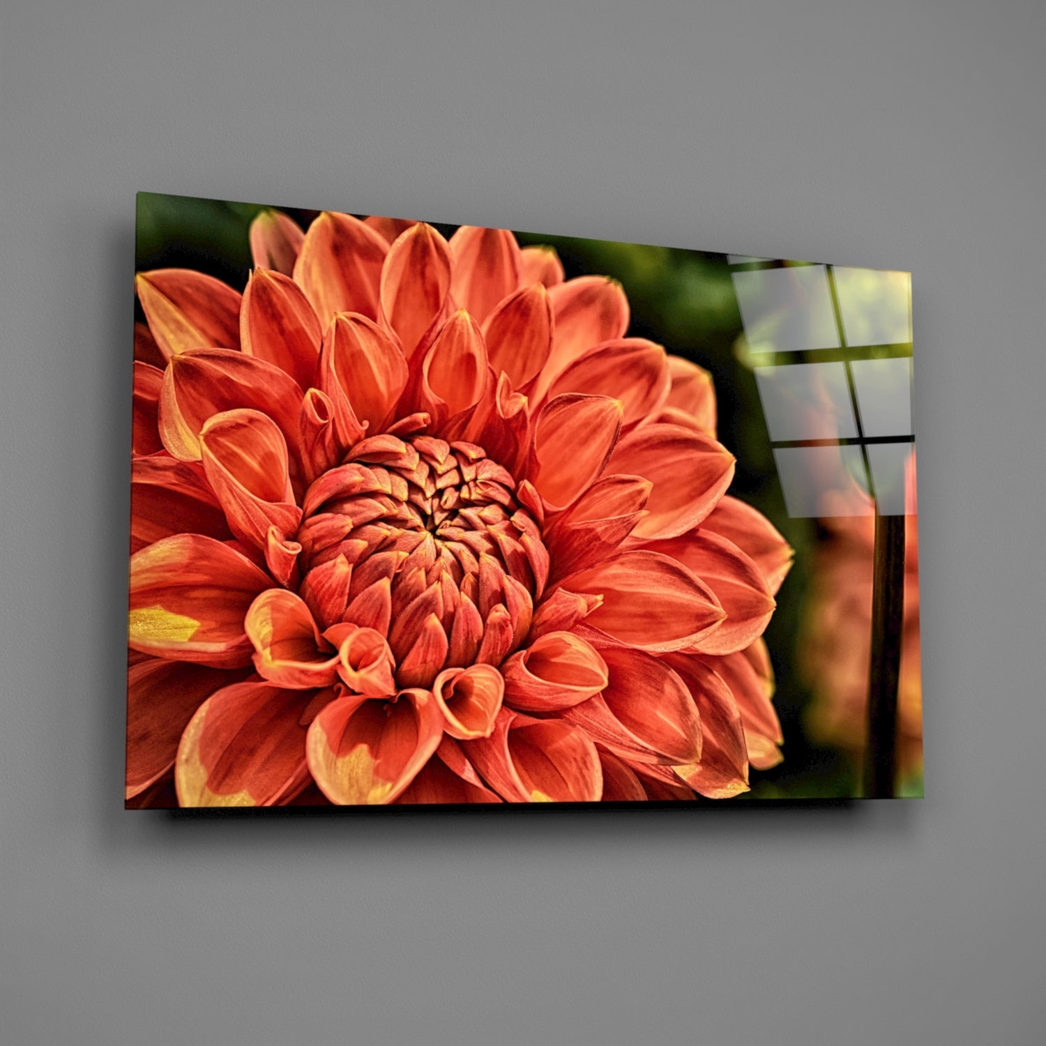 Orange Gerbera glass wall art mounted on gray wall, showing vibrant red-orange flower with layered petals and blurred green background.