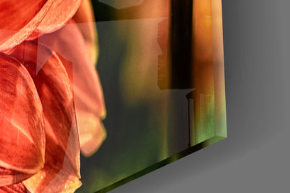 Close-up of orange gerbera petals with layered glass showing red, yellow, and green color gradients against gray background.