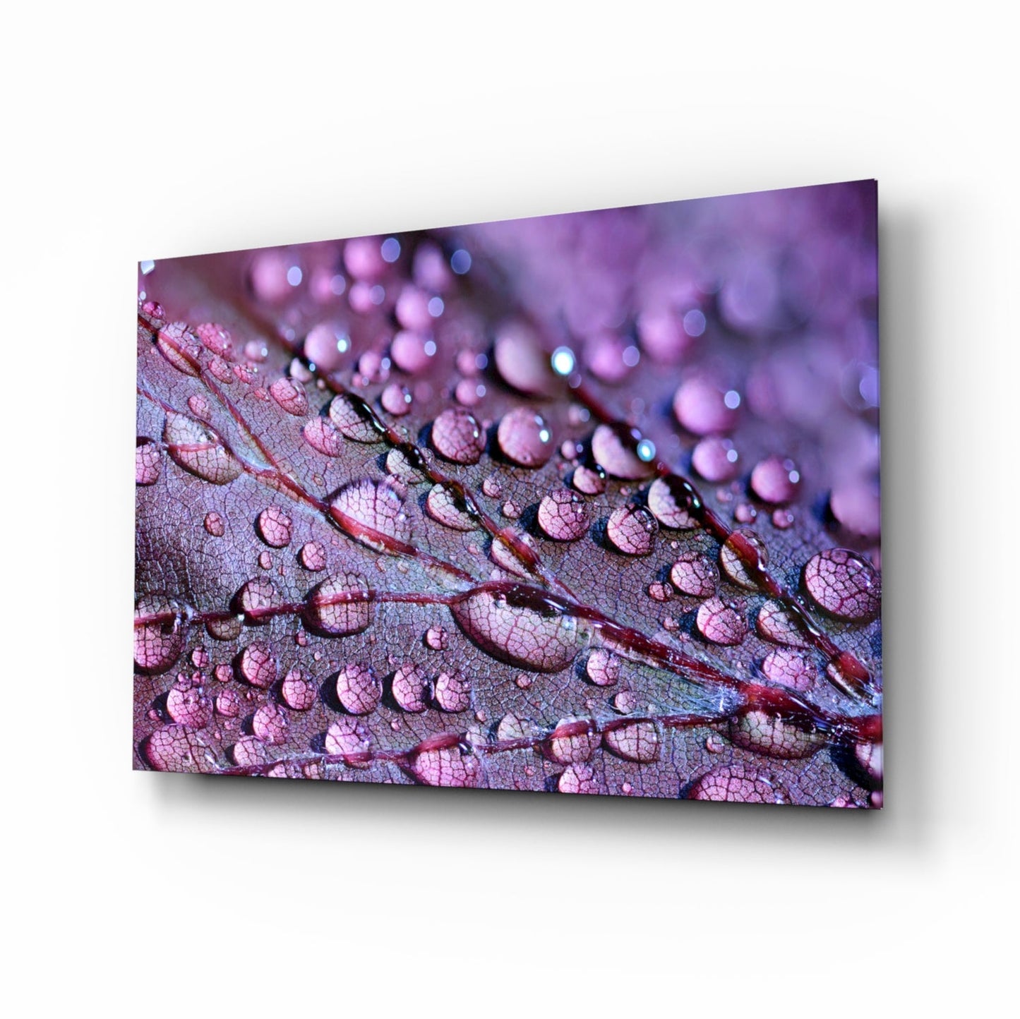 Violet Dew Drops On Leaf Glass Wall Art