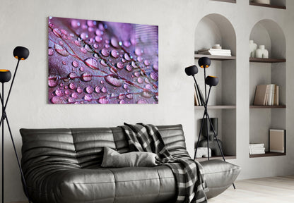 Violet Dew Drops On Leaf Glass Wall Art