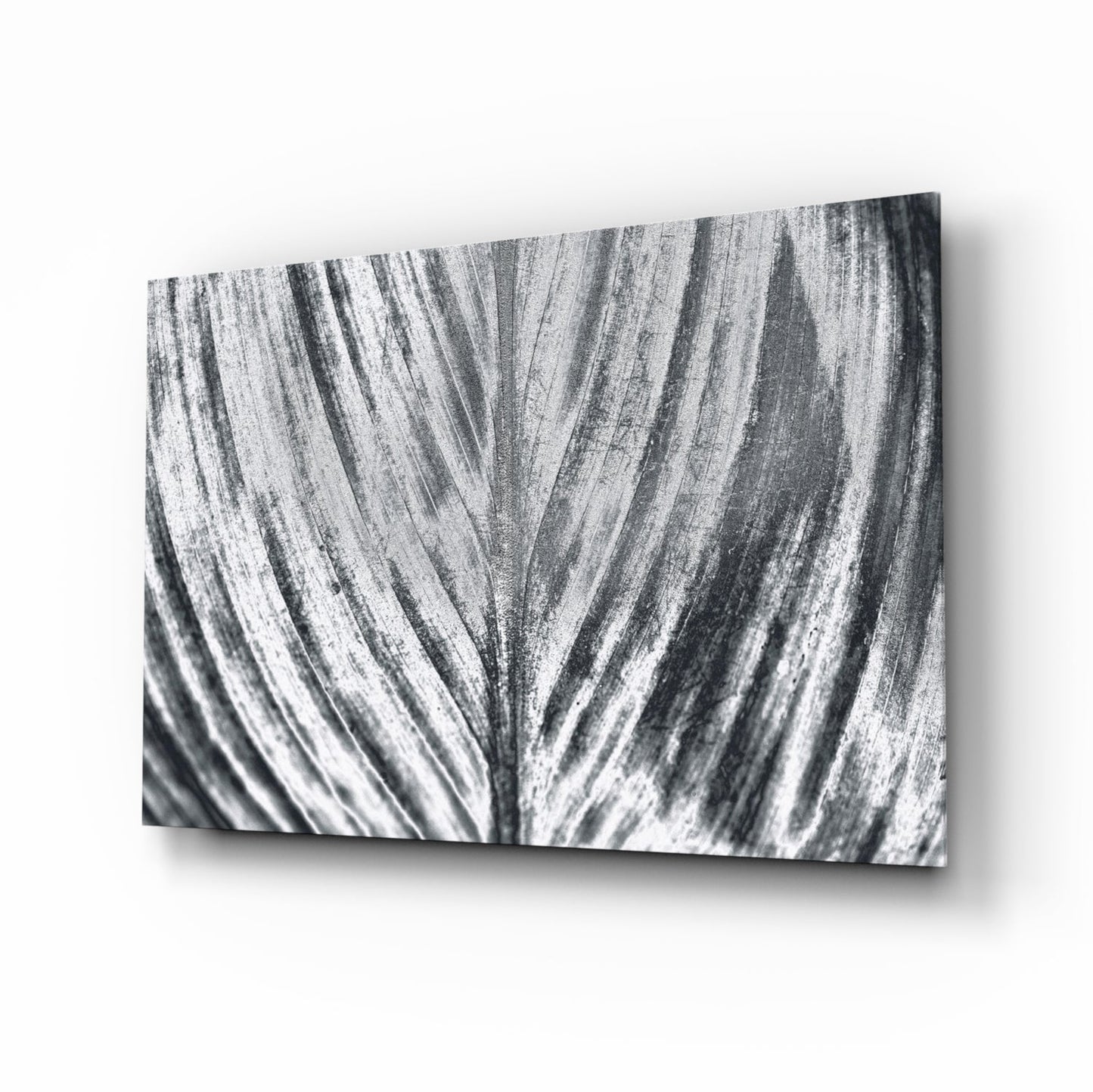 Silver Brushed Leaf Glass Wall Art