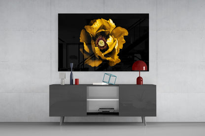Yellow Peony Crimson Center Flower Glass Wall Art