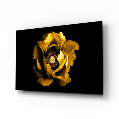 Yellow Peony Crimson Center Flower Glass Wall Art