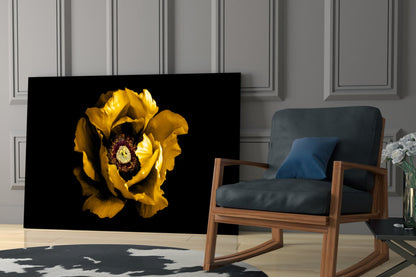 Yellow Peony Crimson Center Flower Glass Wall Art