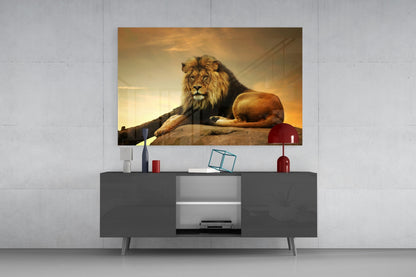 Golden Sunset Resting Lion Glass Wall Art