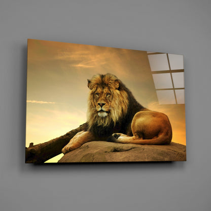 Golden Sunset Resting Lion Glass Wall Art