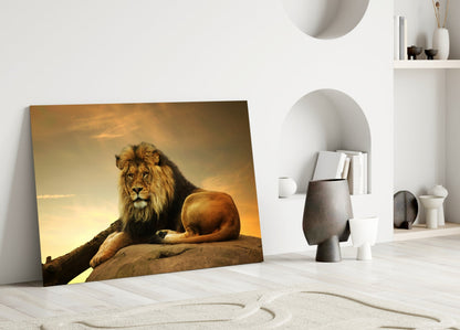 Golden Sunset Resting Lion Glass Wall Art