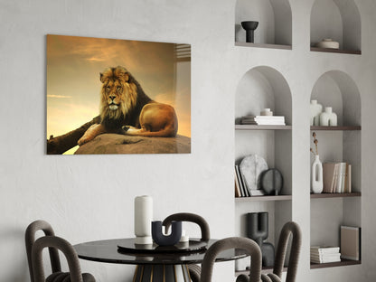 Golden Sunset Resting Lion Glass Wall Art