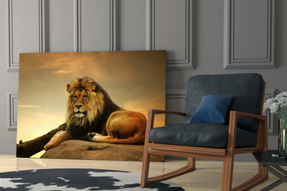Golden Sunset Resting Lion Glass Wall Art
