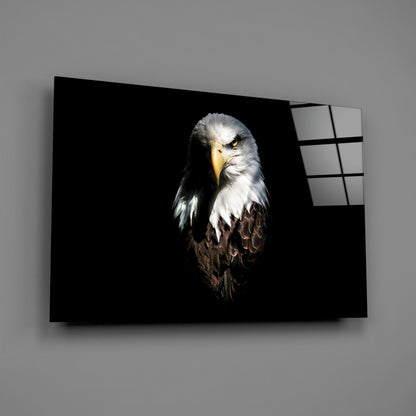 Dark Shadow Bald Eagle Glass Wall Art