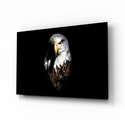 Dark Shadow Bald Eagle Glass Wall Art