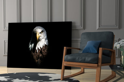 Dark Shadow Bald Eagle Glass Wall Art