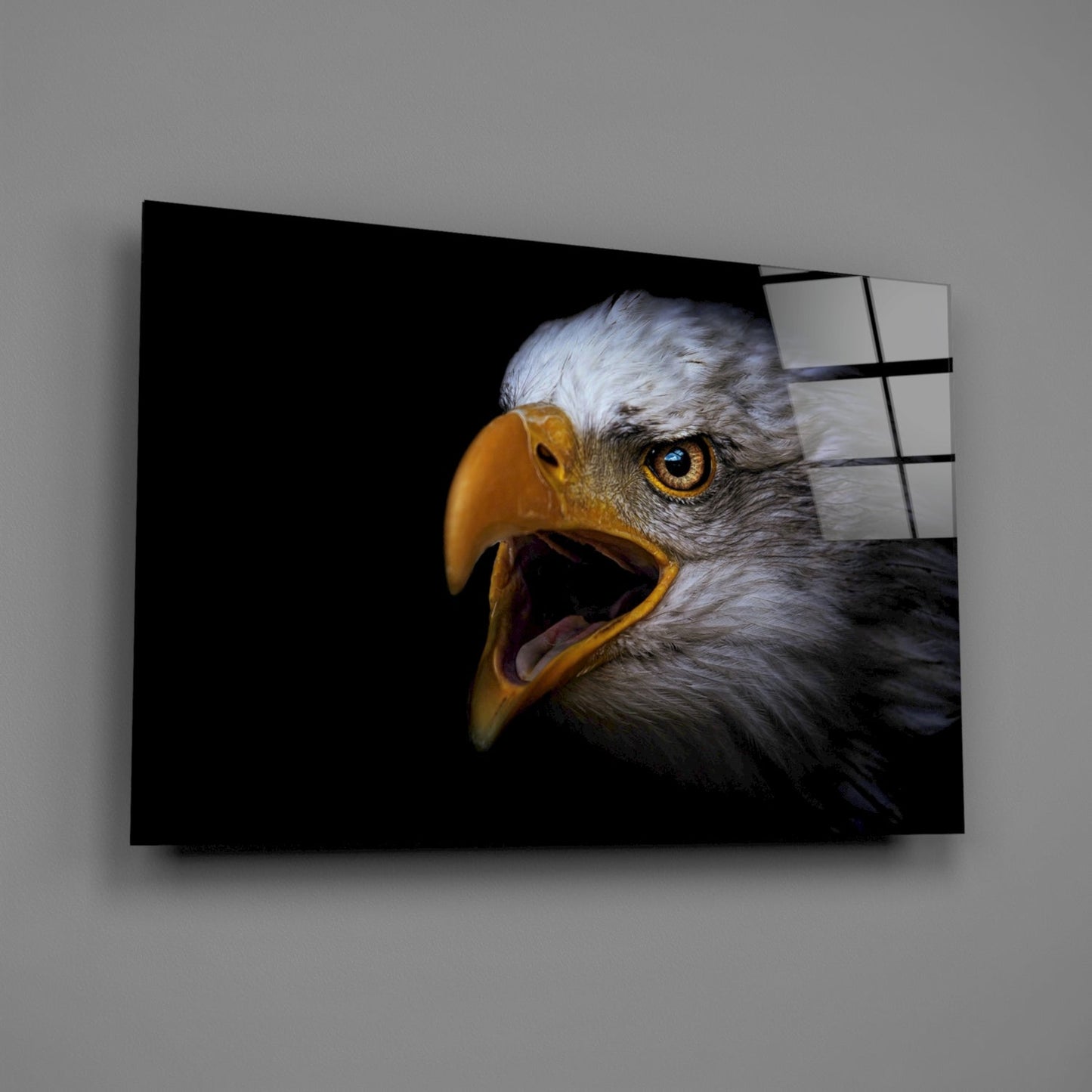 Screaming Bald Eagle Glass Wall Art