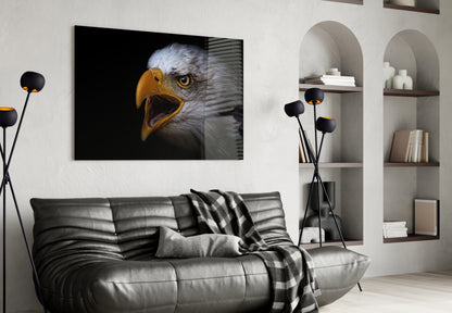 Screaming Bald Eagle Glass Wall Art