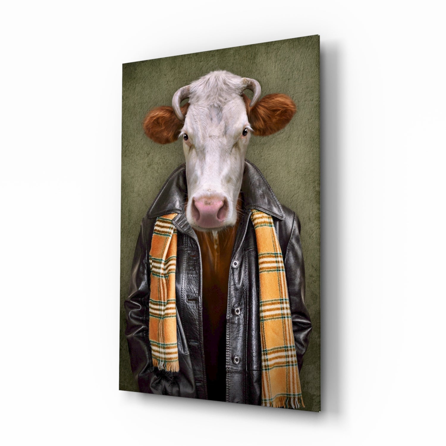 White and brown cow wearing black leather jacket and orange plaid scarf against muted green background on glass panel.