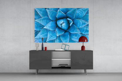Blue Agave Succulent Rosette Glass Wall Art