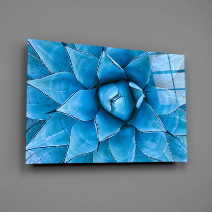 Blue Agave Succulent Rosette Glass Wall Art