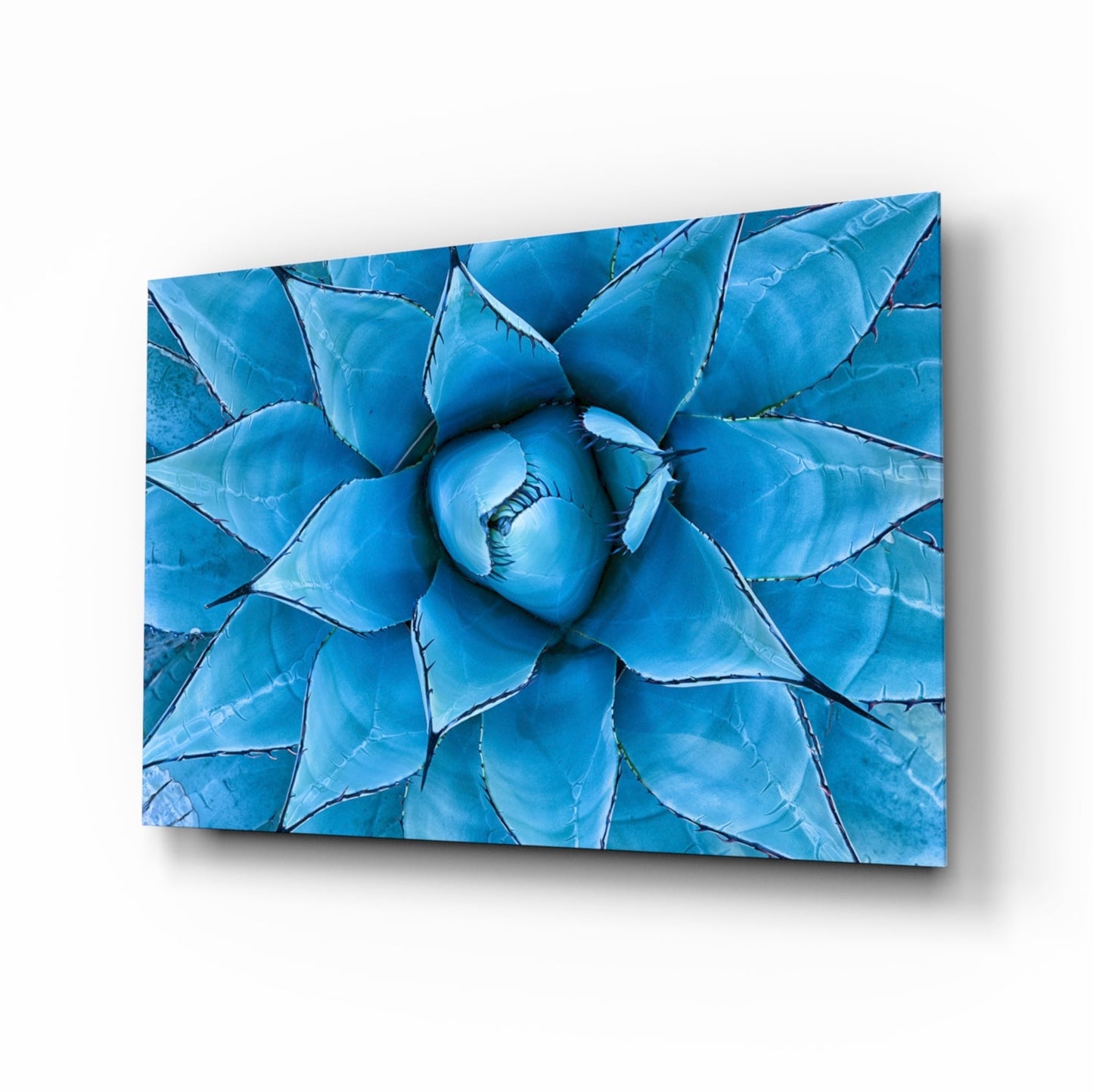 Blue Agave Succulent Rosette Glass Wall Art