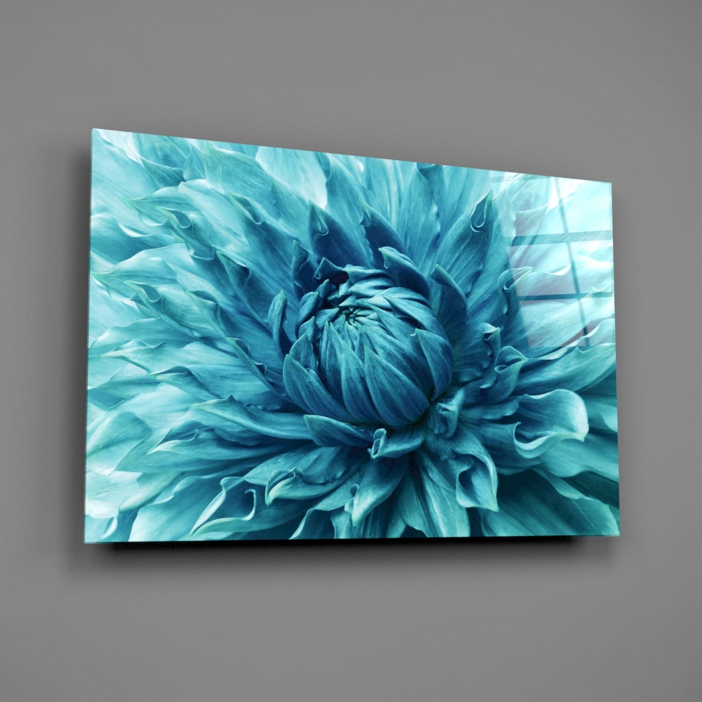 Turquoise Dahlia Petal Closeup Glass Wall Art