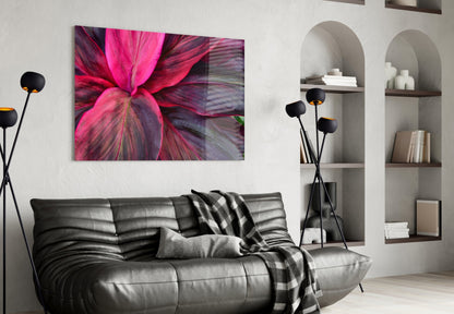 Magenta Cordyline Leaves Glass Wall Art
