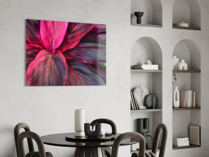 Magenta Cordyline Leaves Glass Wall Art