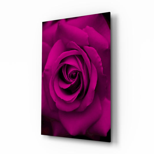 Angled perspective view of a magenta rose glass wall art panel displaying a close-up spiral bloom with dark shadows.