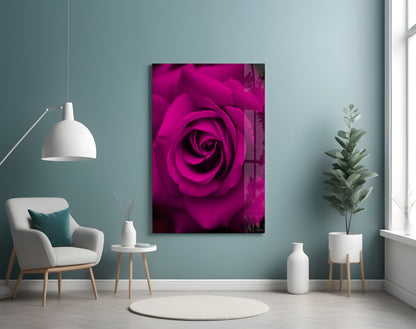 Magenta Velvet Rose Glass Wall Art