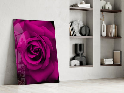 Magenta Velvet Rose Glass Wall Art