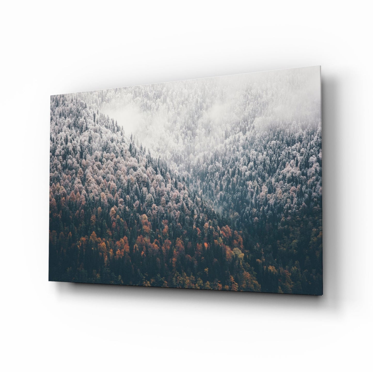 Misty Autumn Forest Slope Glass Wall Art