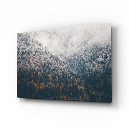 Misty Autumn Forest Slope Glass Wall Art