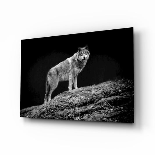 A lone gray wolf stands alert on a rocky outcrop against a black background, shown as a black and white glass wall art panel.
