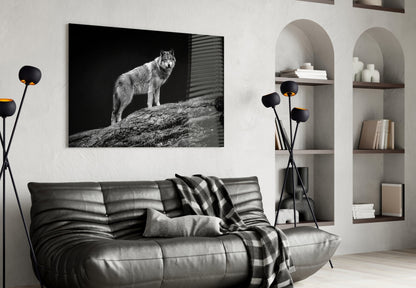 Wolf on Rocky Ridge Glass Wall Art
