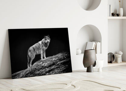 Wolf on Rocky Ridge Glass Wall Art
