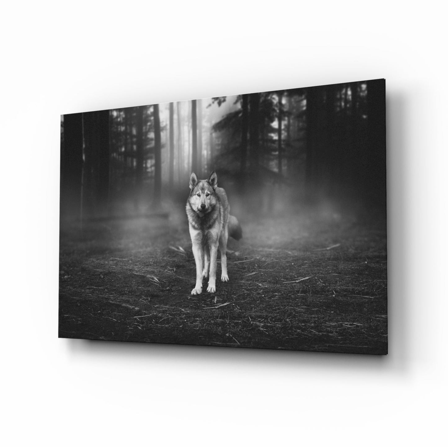 Misty Forest Wolf Glass Wall Art