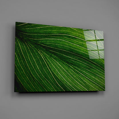 Radiating Green Leaf Vein Lines Glass Wall Art