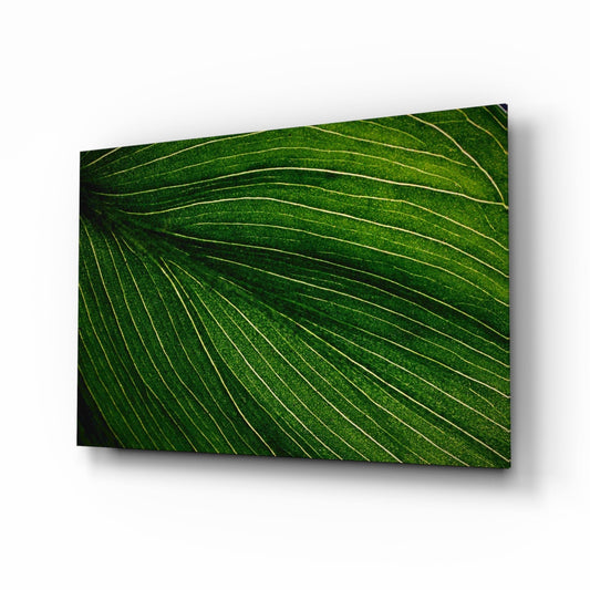 Close-up detail of green leaf surface with radiating yellow-gold vein lines creating a sunburst pattern, displayed as glass wall art.