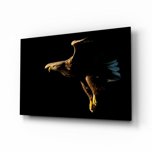 Golden eagle diving downward against black background with wings spread, shown on glass wall art panel at angle.