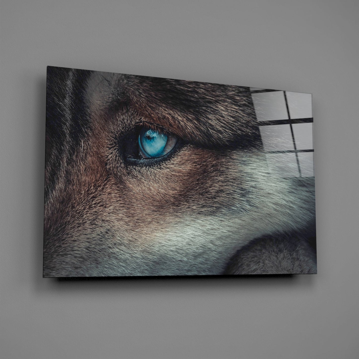 Ice Blue Wolf Eye Closeup Glass Wall Art