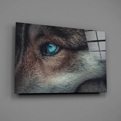 Ice Blue Wolf Eye Closeup Glass Wall Art